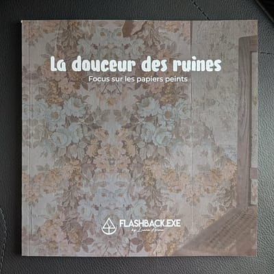 Livre : La douceur des ruines - Focus sur les papiers peints